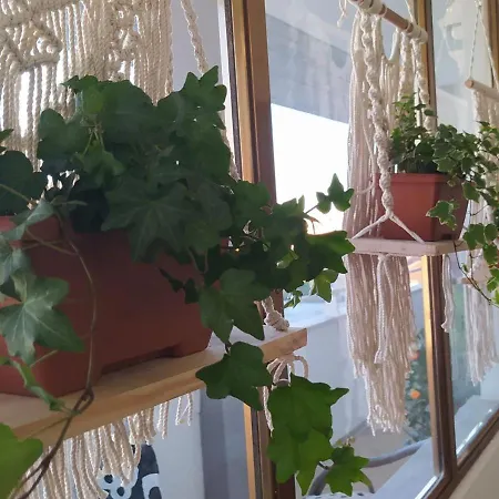 Apartamento Centralissimo Con Terrazza E Vista