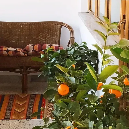 Centralissimo Con Terrazza E Vista * Λατίνα